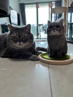 Custom Wool Felt Pet Portraits-Full Body Figurine