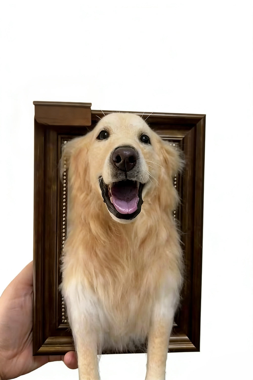 Custom Wool Felt Pet Portraits-Dog