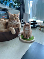 Custom Wool Felt Pet Portraits-Full Body Figurine