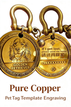 Personalized Engraved Brass Pet Anti-Lost Pendant