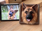 Custom Wool Felt Pet Portraits-Dog