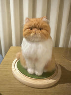 Custom Wool Felt Pet Portraits-Full Body Figurine