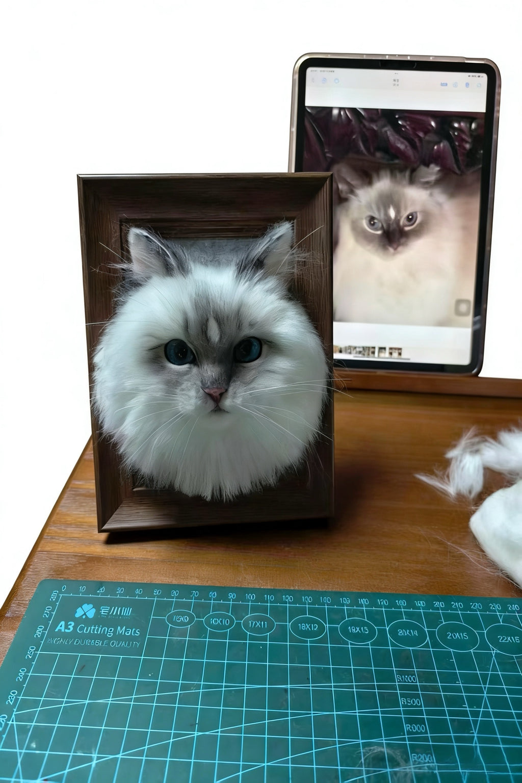 Custom Wool Felt Pet Portraits-Cat
