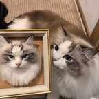 Custom Wool Felt Pet Portraits-Cat